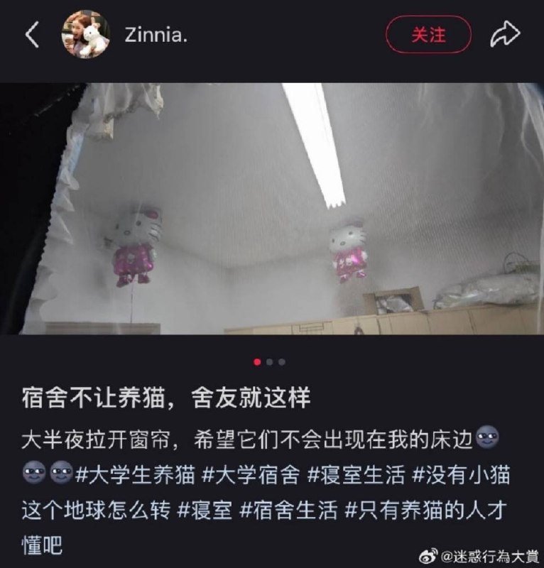via 8号沙雕网友