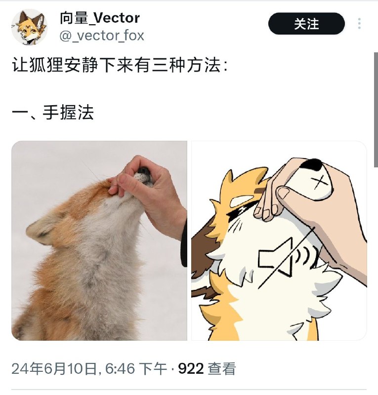 from 猫猫窝🐈🐈‍⬛️