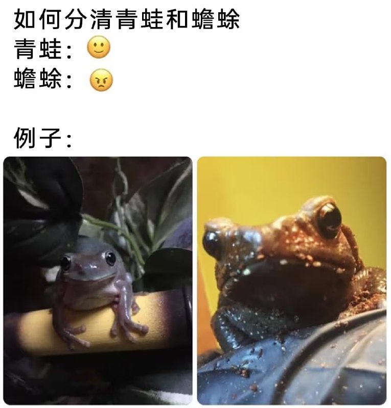 via 7号沙雕网友