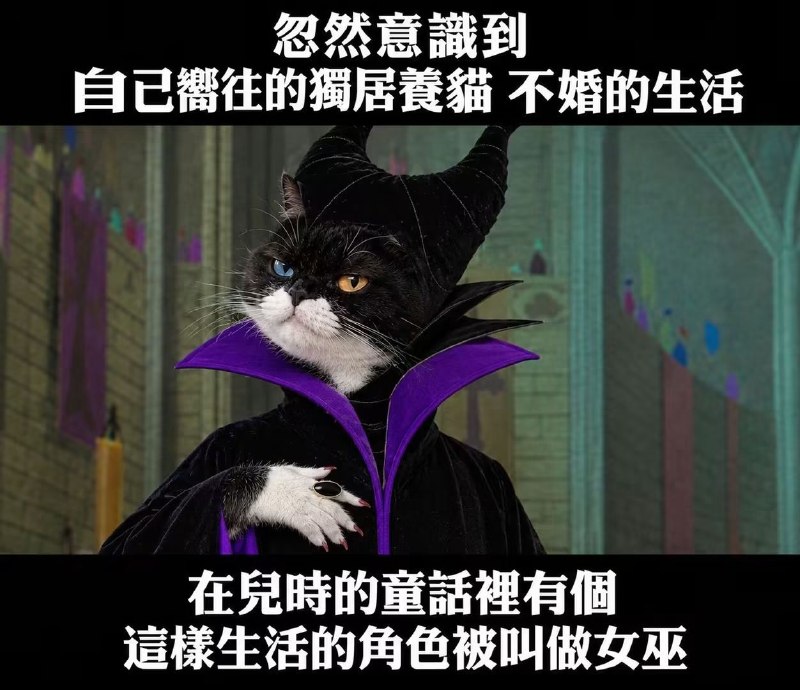 from 發點囧圖 via DECADE