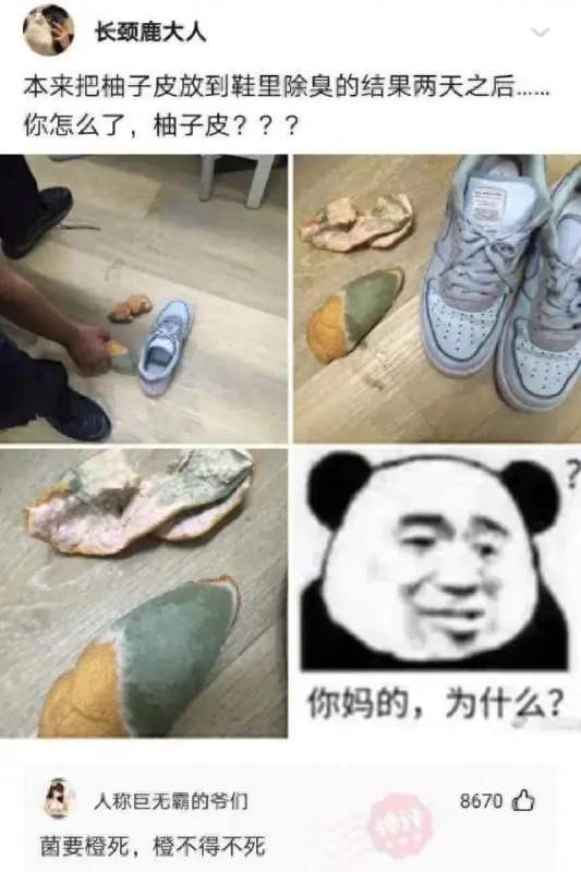 from 煎蛋无聊图