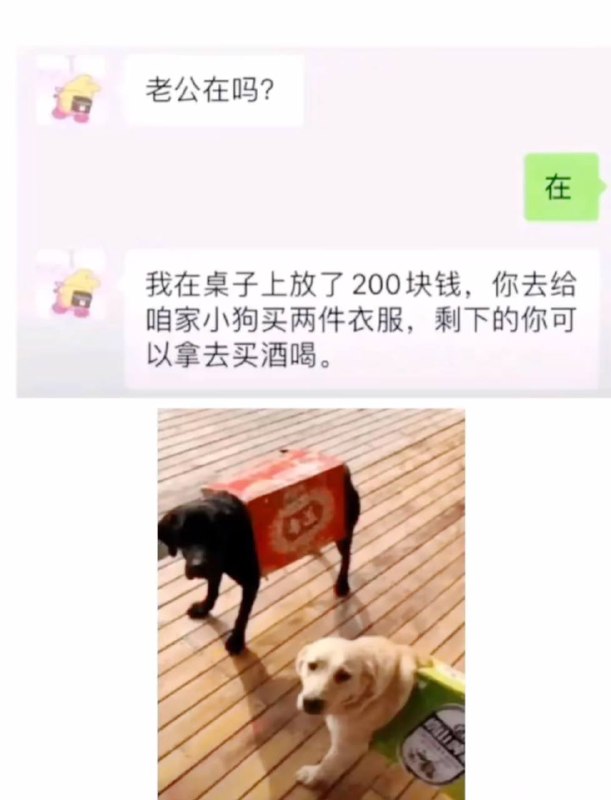 via 犯罪嫌疑人张某