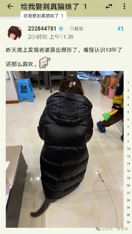 好好好from 二刺猿日常