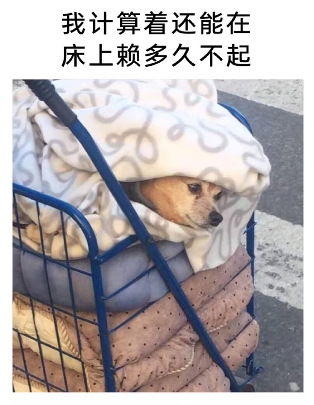 via 7号沙雕网友