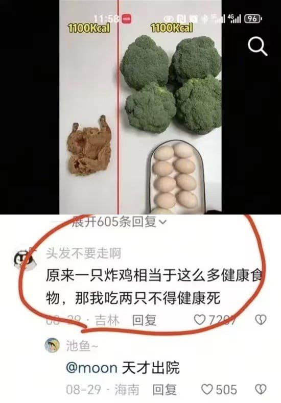 from 美图与沙雕
