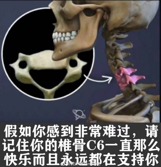 via 7号沙雕网友