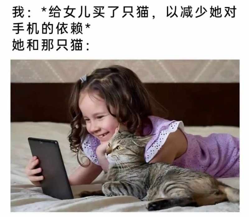 from 發點囧圖 via DECADE