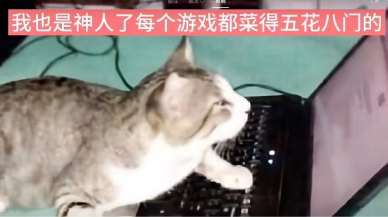 from Mr.Yan via Mr.Yan