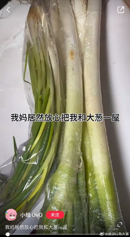 我去from 心惊报 🚁我去from 心惊报 🚁