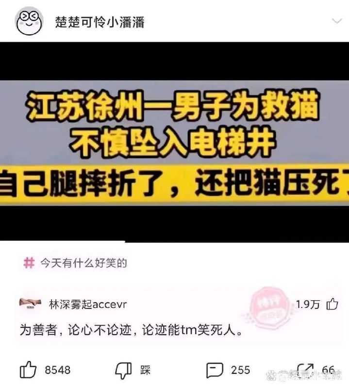via LDLD 果冻