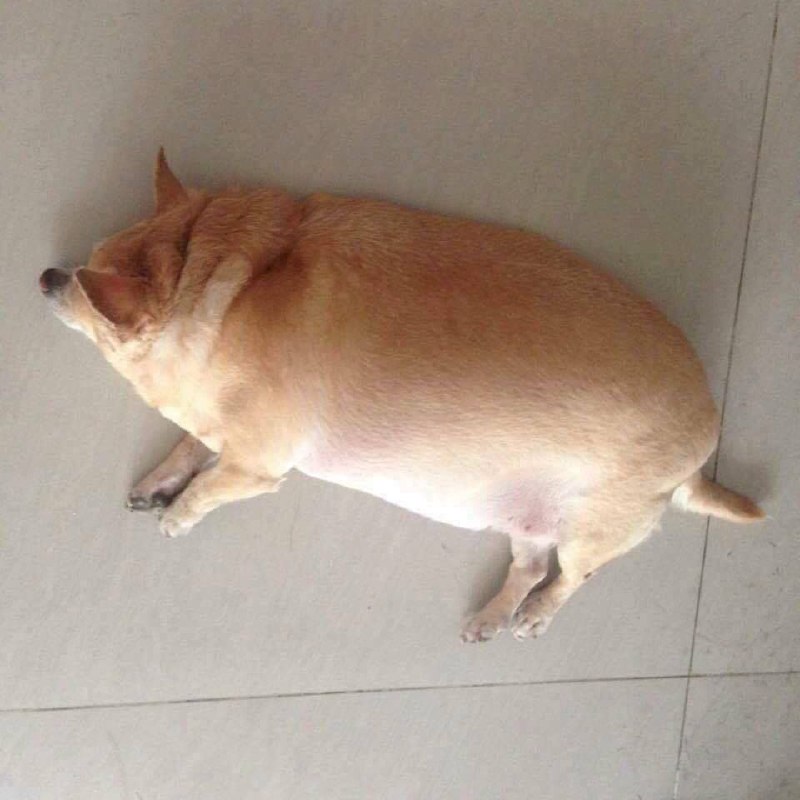 via 匿名from 心惊报