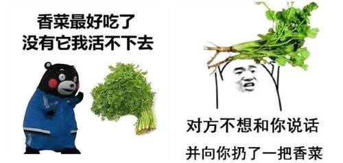 标题五个字还有这个类型的meme图吗？乐死我了标题五个字还有这个类型的meme图吗？乐死我了