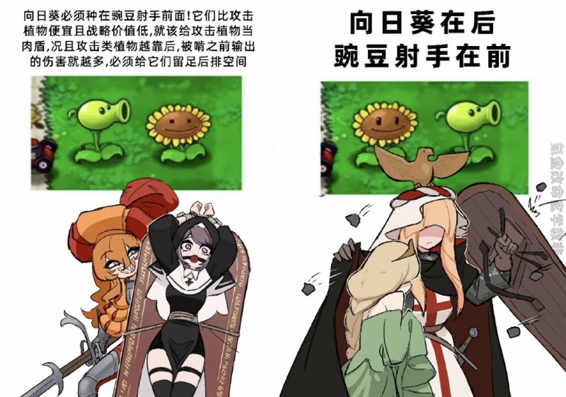 via 犯罪嫌疑人张某