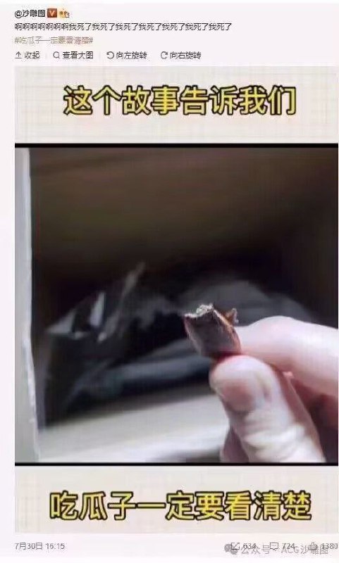 应该不是广东的蟑螂，这个太小了via 蓂蓊