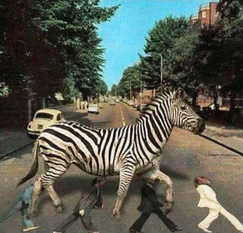 via Taro