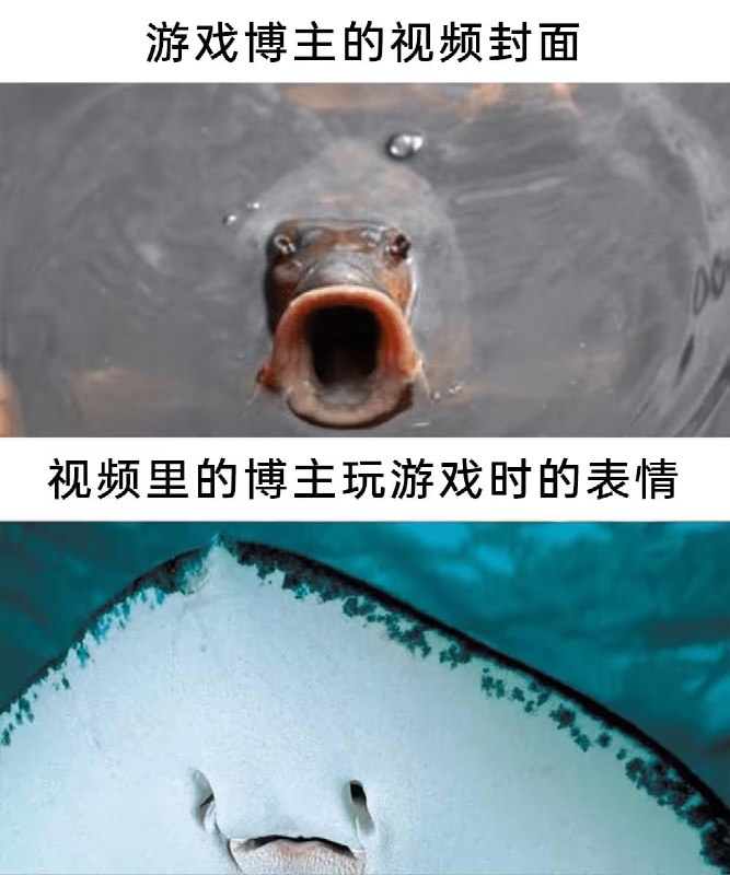 via 7号沙雕网友