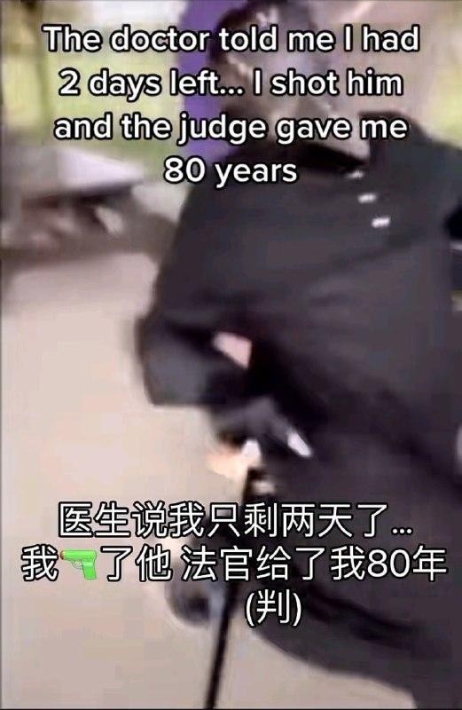 🍀SFWvia dagefrom 🔮 奇闻异录 与 沙雕时刻 meme collection