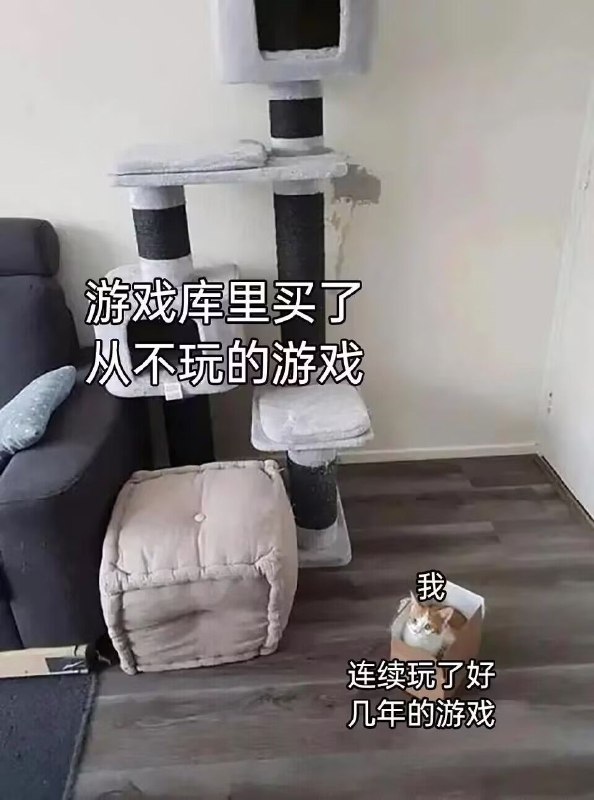from 橘橘橘子汁 & 🍊