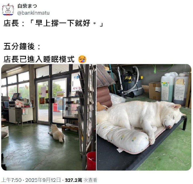 from 什麼都來點 via DECADE