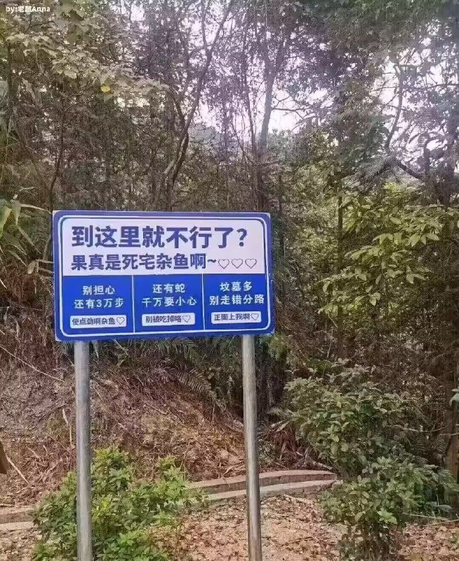 from 美图与沙雕