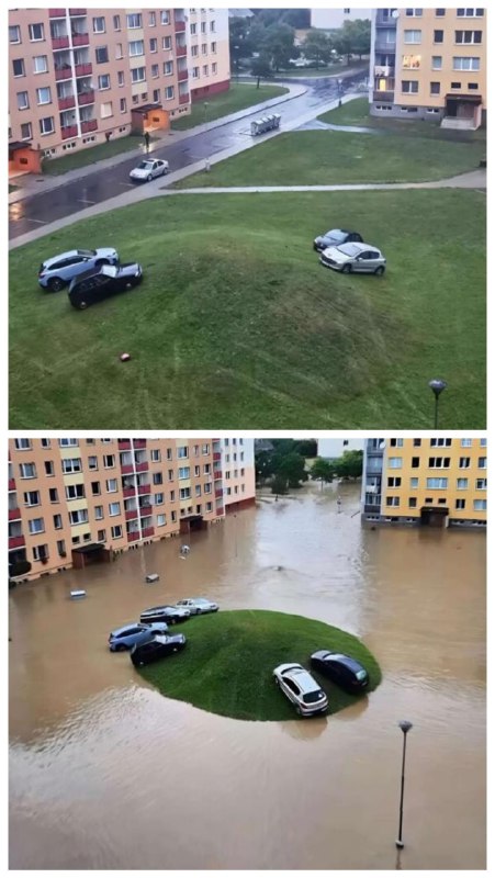 via 6号沙雕网友
