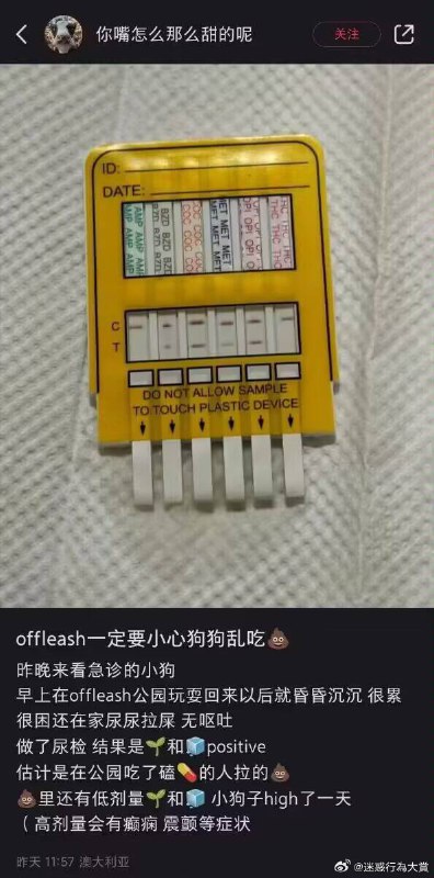 草了，那狗要是吃上瘾了，天天疯着要吃屎怎么办from ㅤ