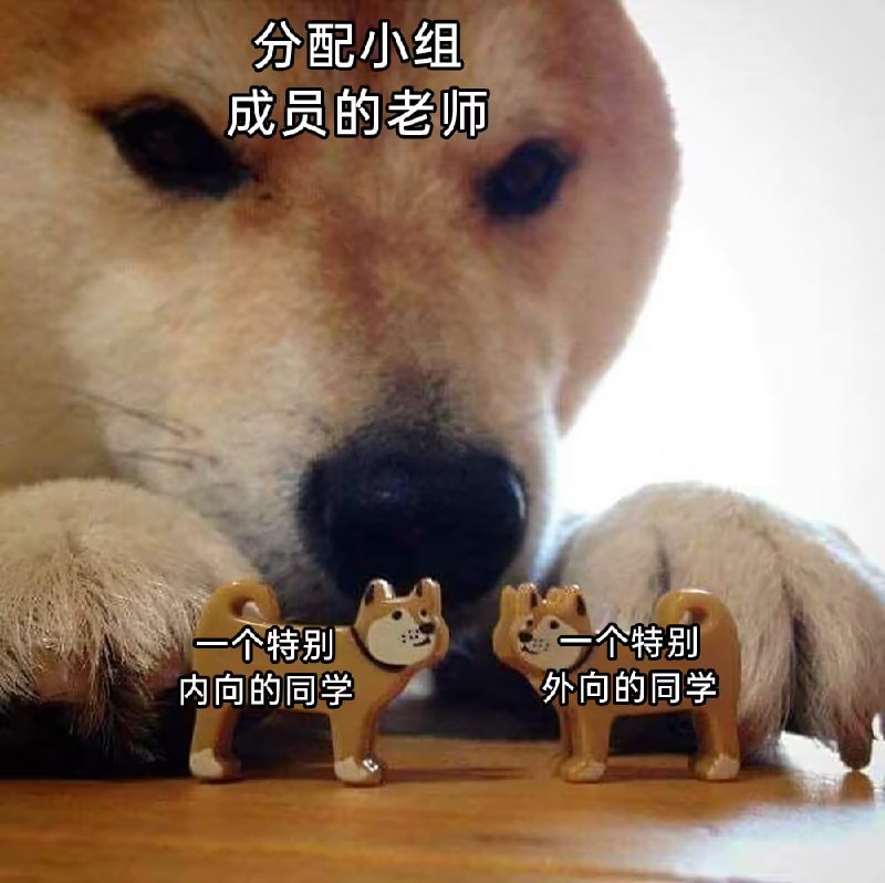 via 6号沙雕网友