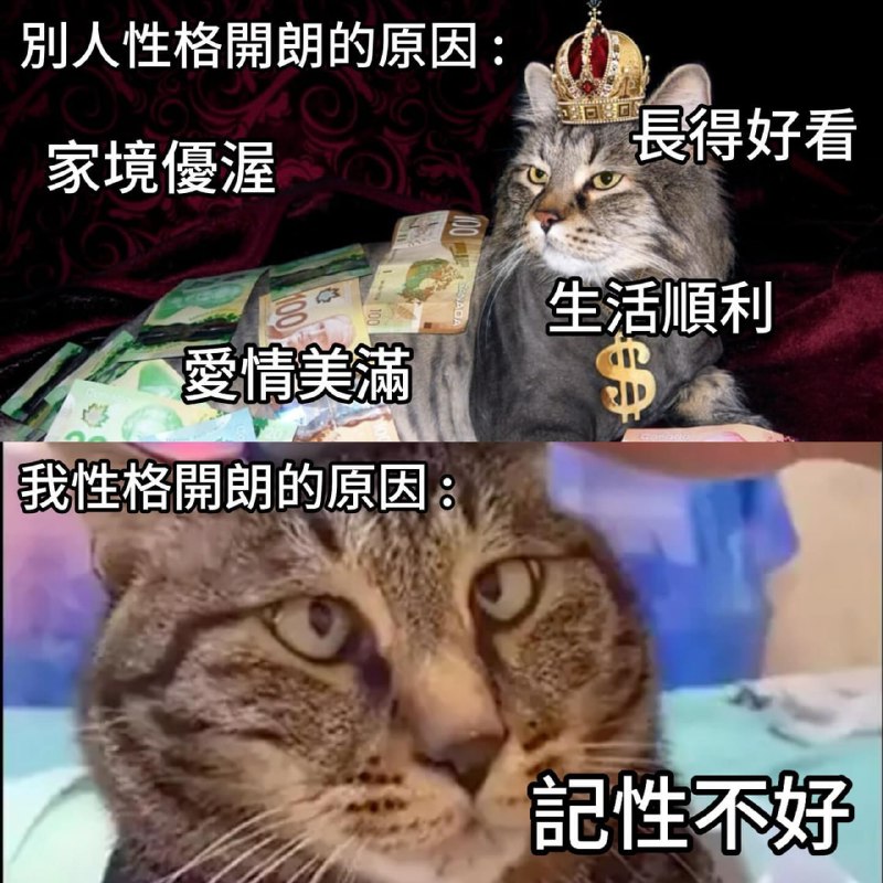 from 警察這裡有大麻🌿 via DECADE