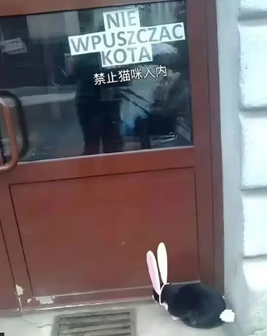 via 6号沙雕网友