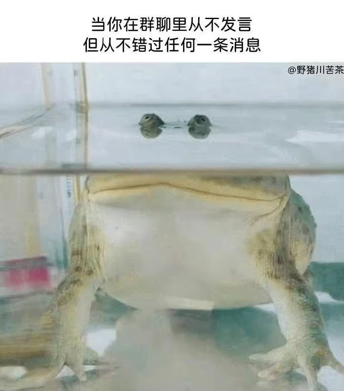 via 7号沙雕网友