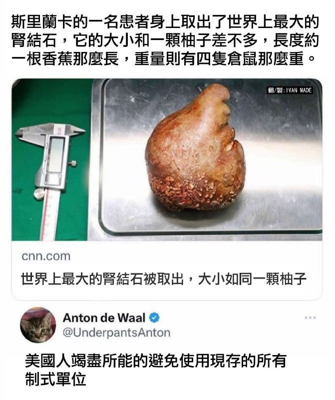from 什麼都來點 via DECADE