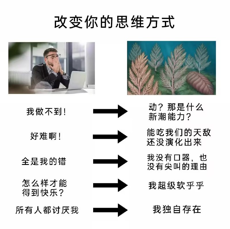 via 8号沙雕网友