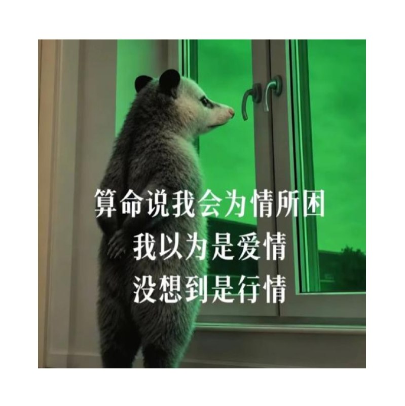 from 什么鬼都有喵 Everything Under the SunMeow