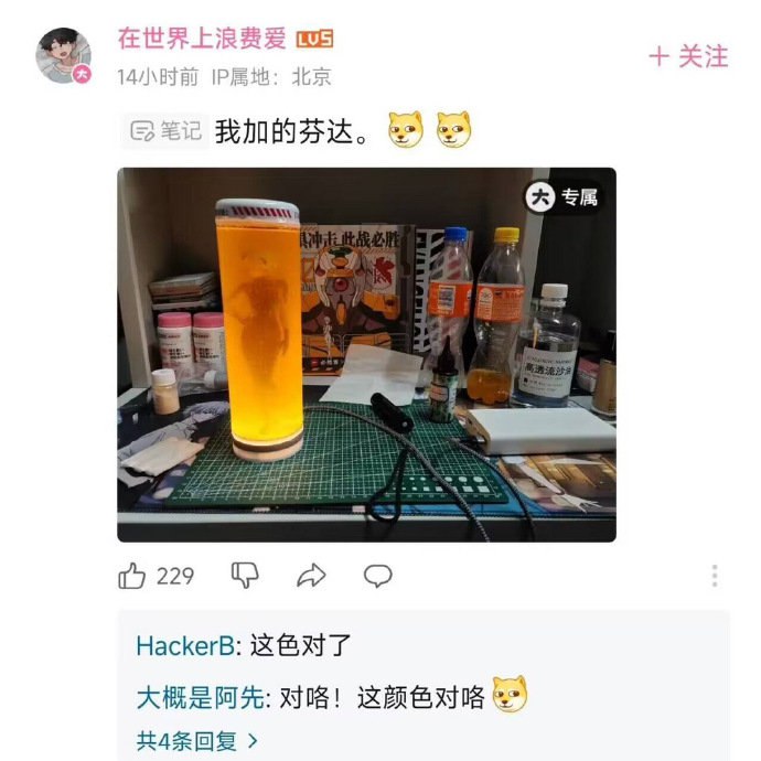 绫波丽芬达from 平壤卫视