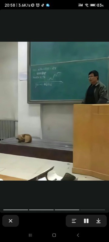 via Hibichannvia Hibichann