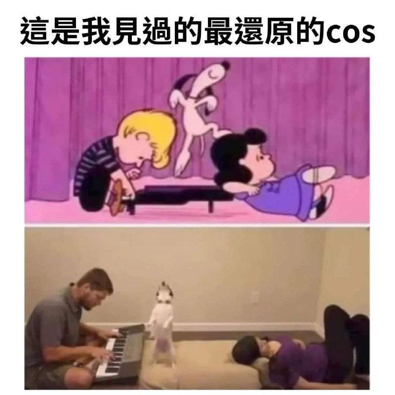 from 什麼都來點 via DECADE