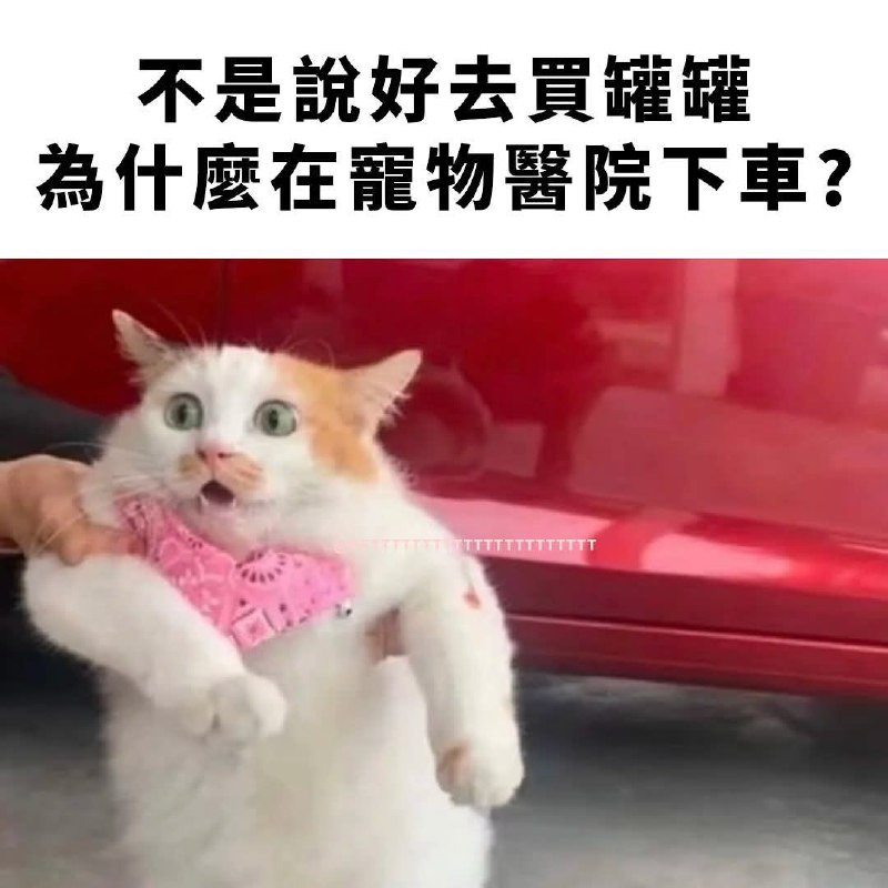 from 什麼都來點 via DECADE