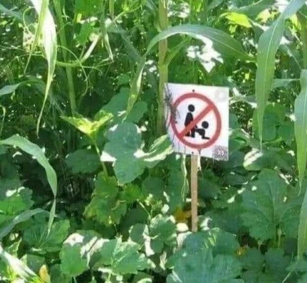 via 7号沙雕网友