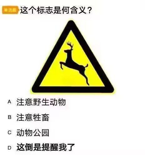 via Bingxin Baka