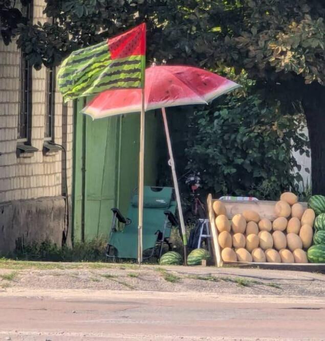 via 6号沙雕网友