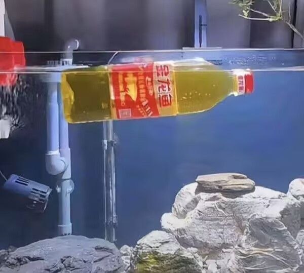 from 什麼都來點 via DECADE