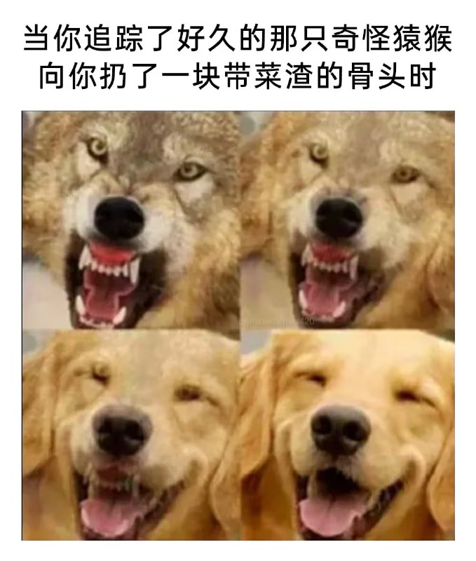 via 6号沙雕网友