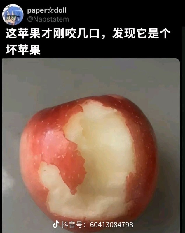 from 什麼都來點 via DECADE