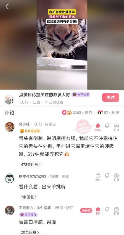 via 荷包蛋