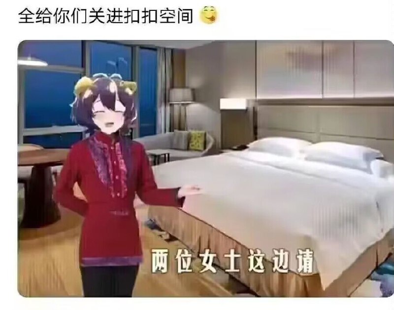from 猫猫窝🐱