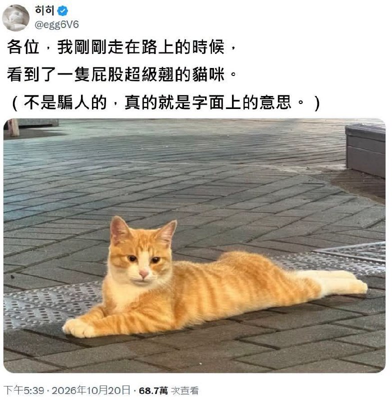 from 發點囧圖 via DECADE