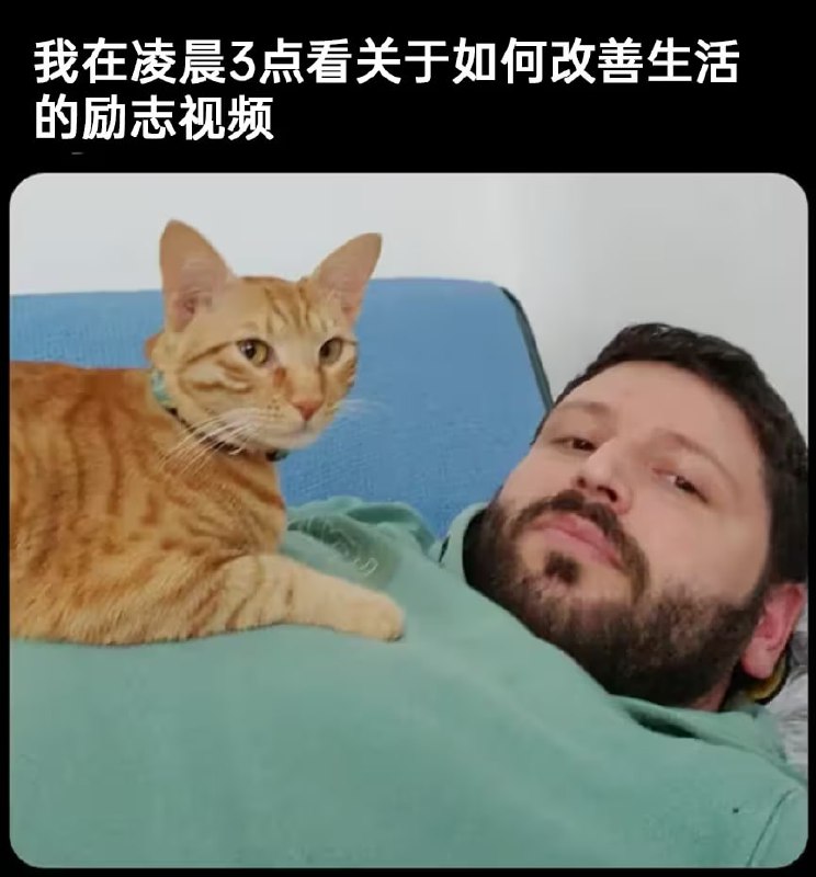 via 7号沙雕网友