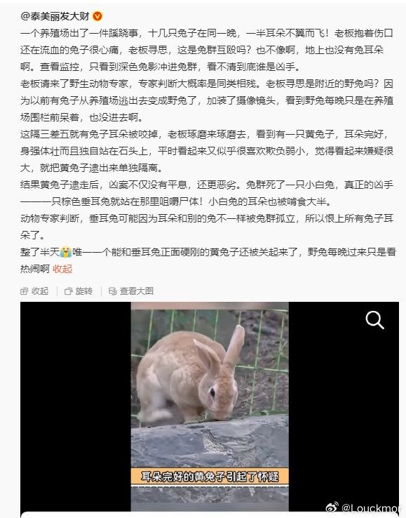 via my nbklsvia my nbkls