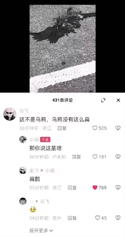 from 北 方