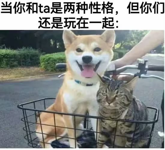 via 6号沙雕网友